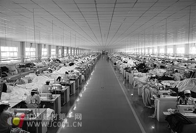 解读山东泰丰如何打造家纺行业龙头企业? - 新