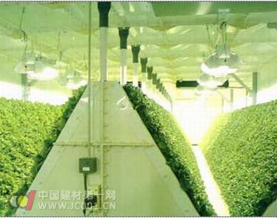 【解读】中国农业照明市场发展前景 - 新闻中心