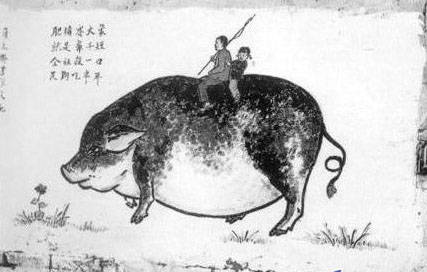 人有多大胆有多大