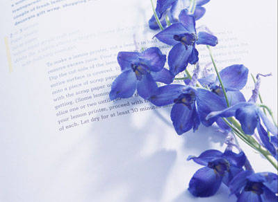 紫罗兰花语:永恒的美 - 新闻中心 - 九正建材网(