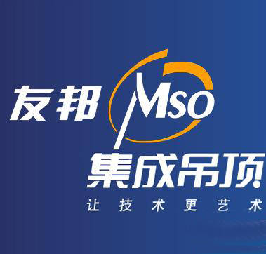 吊顶排行_集成吊顶十大品牌排名(2)