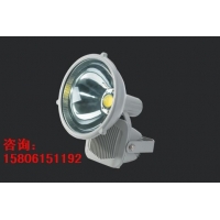 （CNT9170A）超大功率LED節能投光燈 