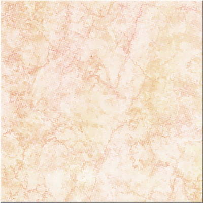 产品品牌:罗马利奥陶瓷 产品系列:地砖系列-858x858砖王 产品型号
