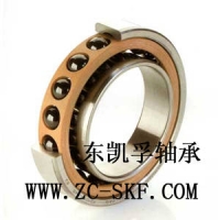 **SKF 7200AC/DFSKF