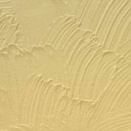 温岭市富彩墙艺装饰承接硅藻泥工程 - 九正建材