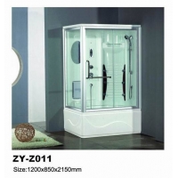   ZY-Z011