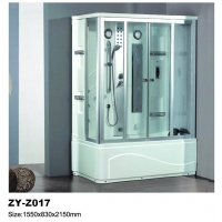   ZY-Z017