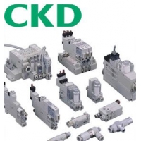 CKD AG31-02-2-AC220V