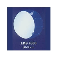 LDS 2050