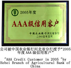 2005AAAû