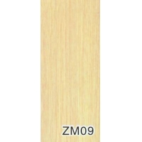 ZM09
