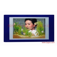 供應壁畫式魚缸|工藝家具|生態魚缸0371-66300080