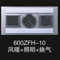 600ZFH-10ů