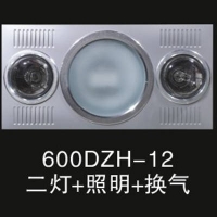 600DZH-12