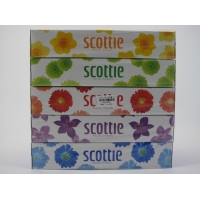 日本制紙 Scottle 面巾紙 5盒裝
