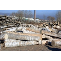 原木木材批發