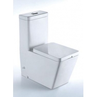 A2020-Toilet
