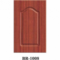 BR-1008|˼